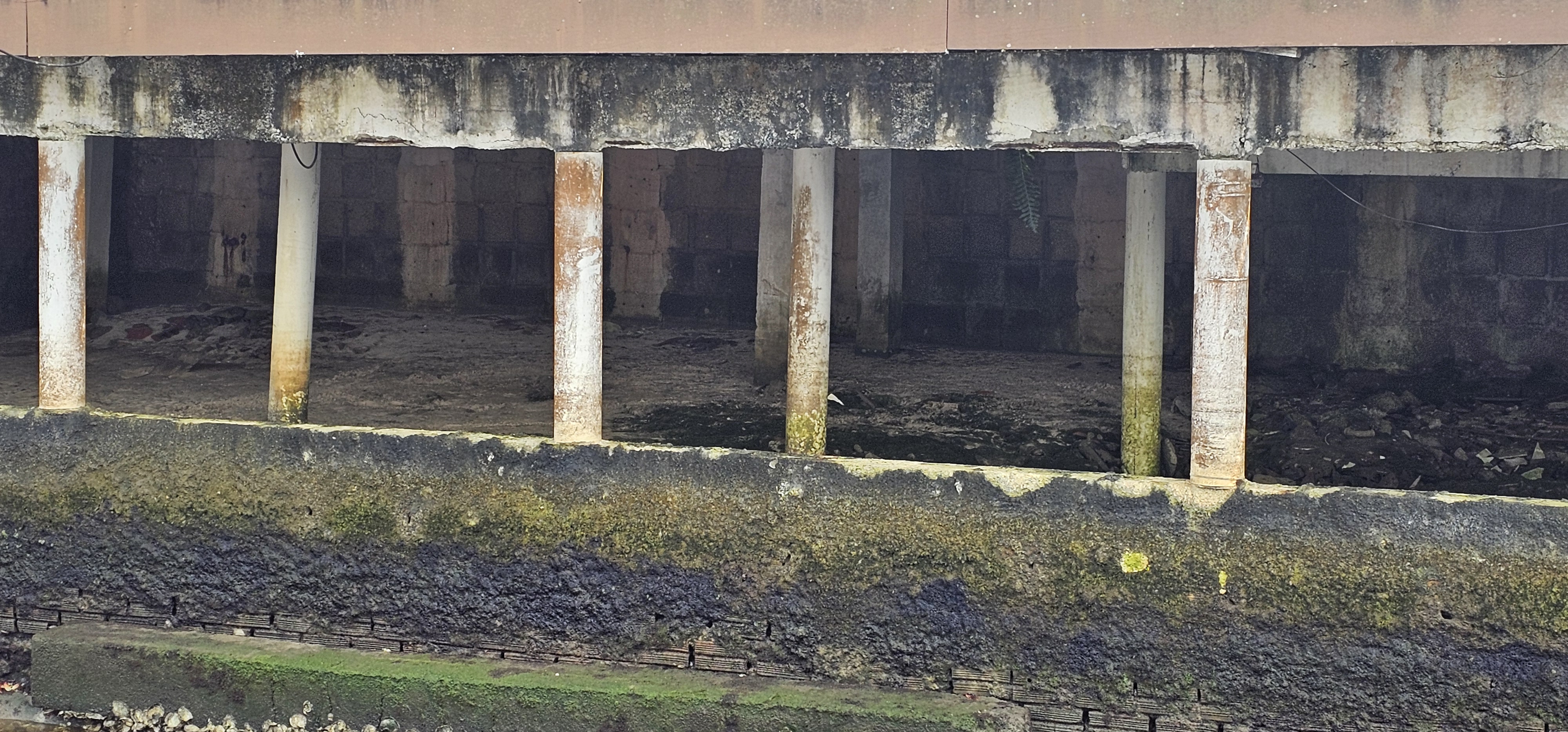 Inspeção - registro